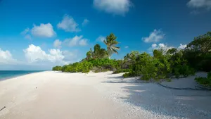 [Placeholder] Marshall Islands Pocket Guide - Free Online Travel Guide to the Marshall Islands Coming Soon