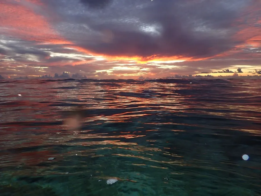 4bis. Baie de Fiua CREDIT Club de Plongée de Futuna