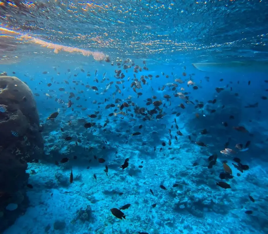 Pele Island Beach & Snorkelling Tour