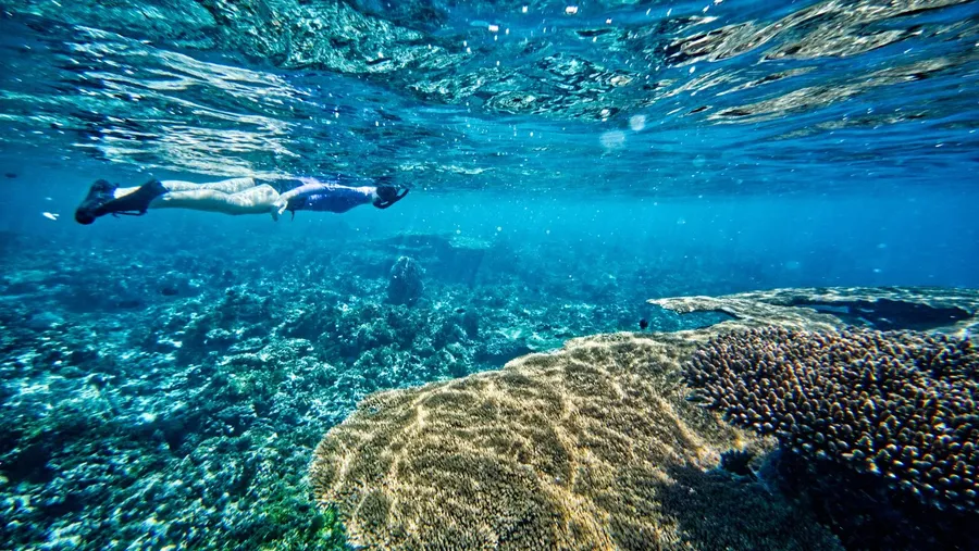 Airport Snorkelling (1) CREDIT MarshallIslandsPocketGuide.com