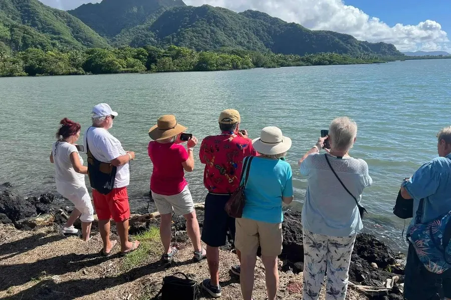 Alofa Cruise Ship Tour