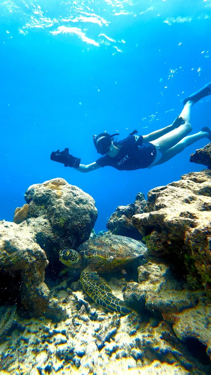 Ariki Adventures Sea Scooters Turtle 1 CREDIT CookIslandsPocketGuide.com