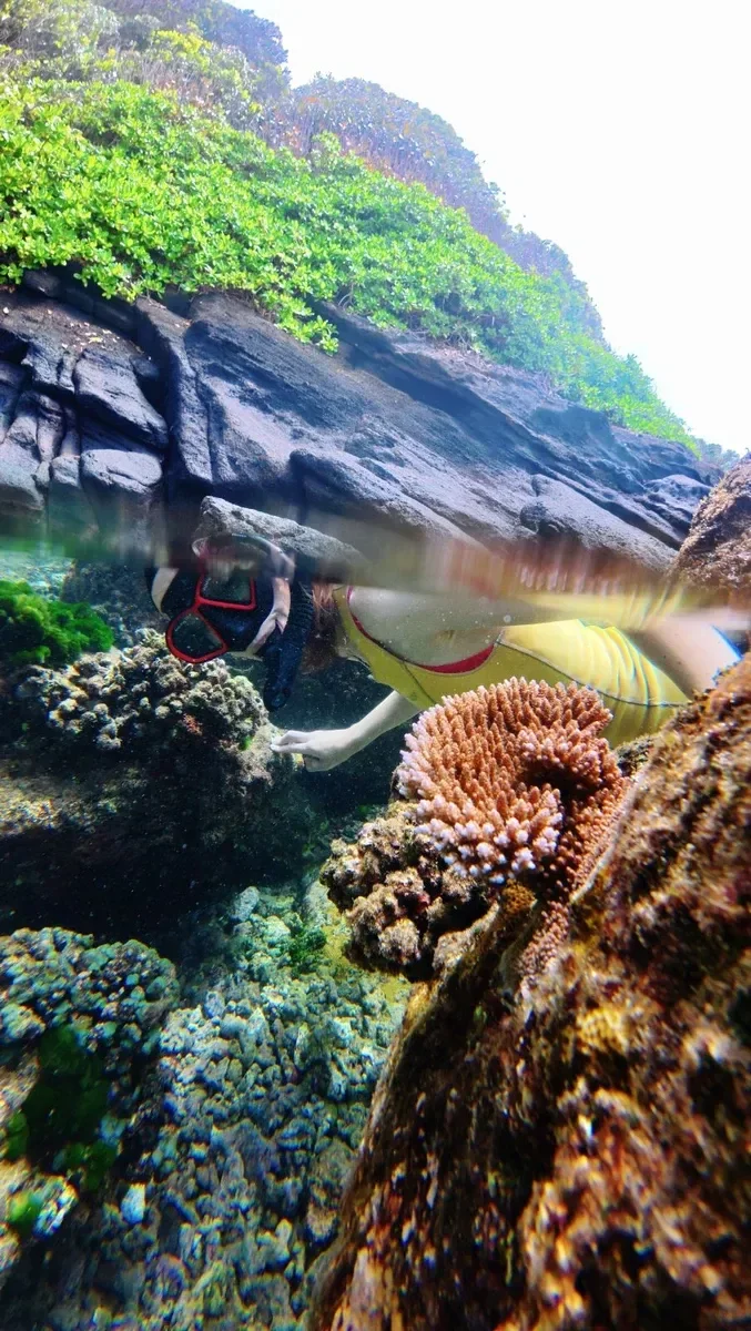 Aunu'u Snorkel Coral (1) CREDIT AmericanSamoaPocketGuide.com