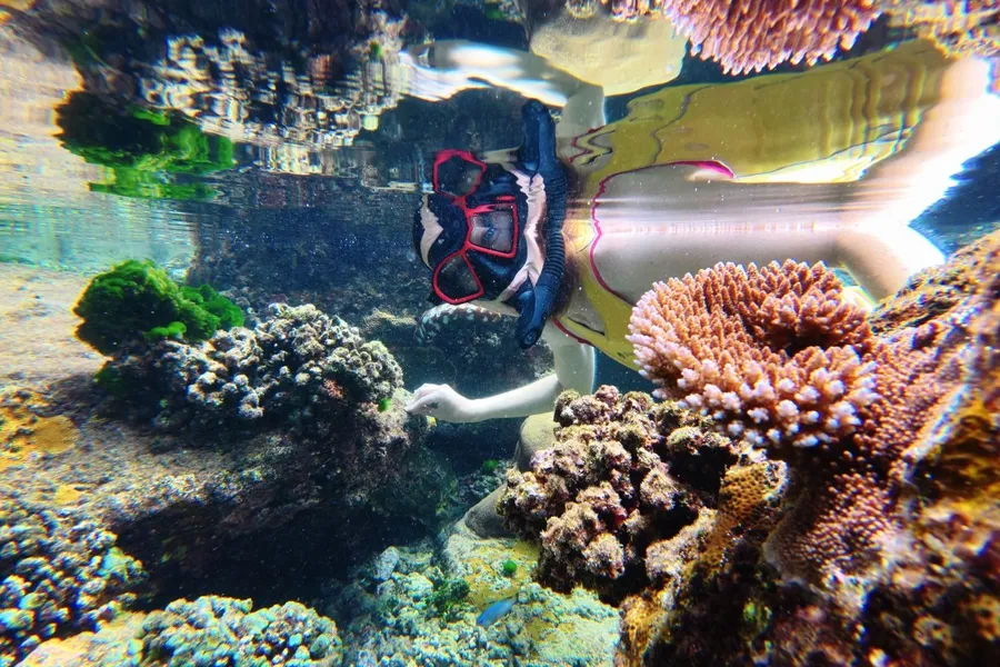 Aunu'u Snorkel Coral (2) CREDIT AmericanSamoaPocketGuide.com