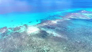 Beach Reef Landscape near Jikin Jekjekwa En Cultural Site (3) SEB CREDIT MarshallIslandsPocketGuide.com