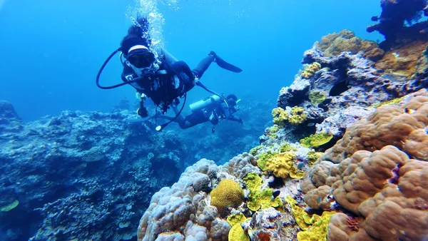 Big Blue Bonzer Wreck Dive Scuba Hideaway (8) CREDIT VanuatuPocketGuide.com