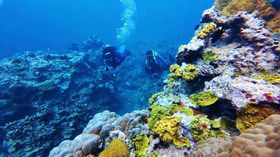 Big Blue Bonzer Wreck Dive Scuba Hideaway (9) CREDIT VanuatuPocketGuide.com