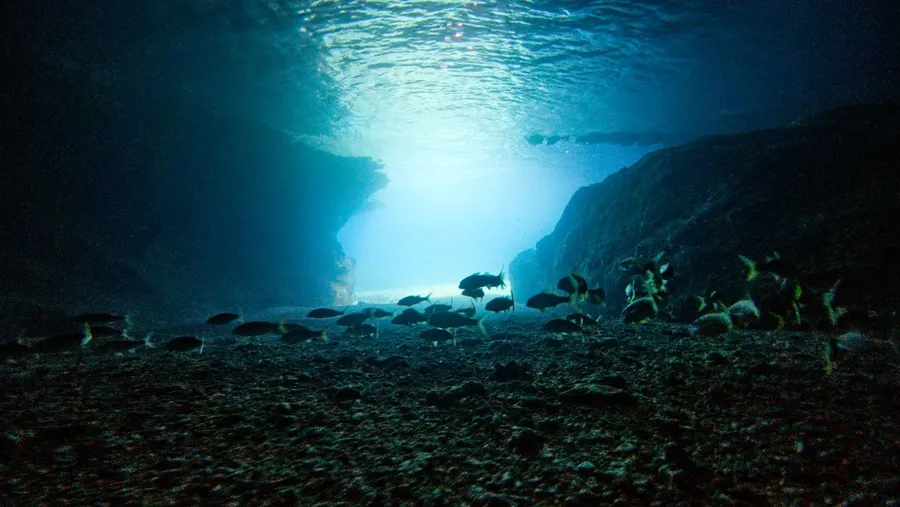 Blue Cave Tour Tanna (1) SEB CREDIT VanuatuPocketGuide.com