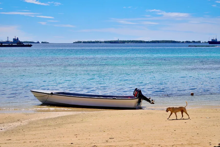 Boat Dog Transport Beach SEB CREDIT MarshallIslandsPocketGuide.com