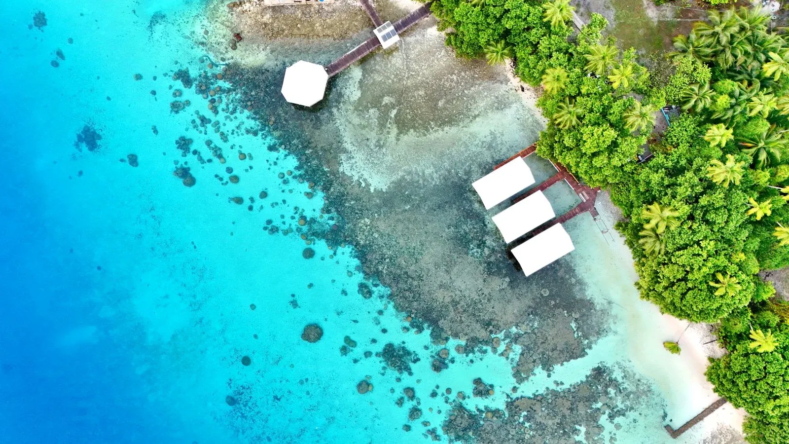Bokanbotin Island Resort Landscape (2) SEB CREDIT MarshallIslandsPocketGuide.com