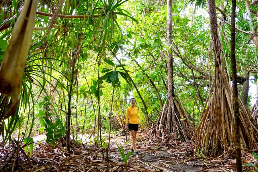 COVID Trail Bokanbotin Walk SEB CREDIT MarshallIslandsPocketGuide.com