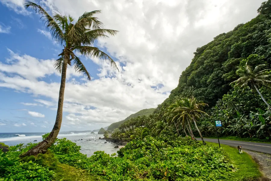 Camel Rock Lookout Landscape Tutuila CREDIT AmericanSamoaPocketGuide.com