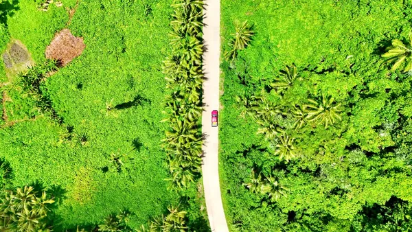 Car Rental Road Driving (5) SE Corail CREDIT WallisandFutunaPocketGuide