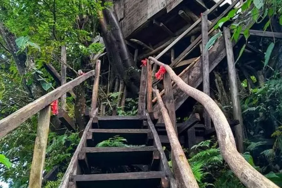 Castle Tree House And Bungalow