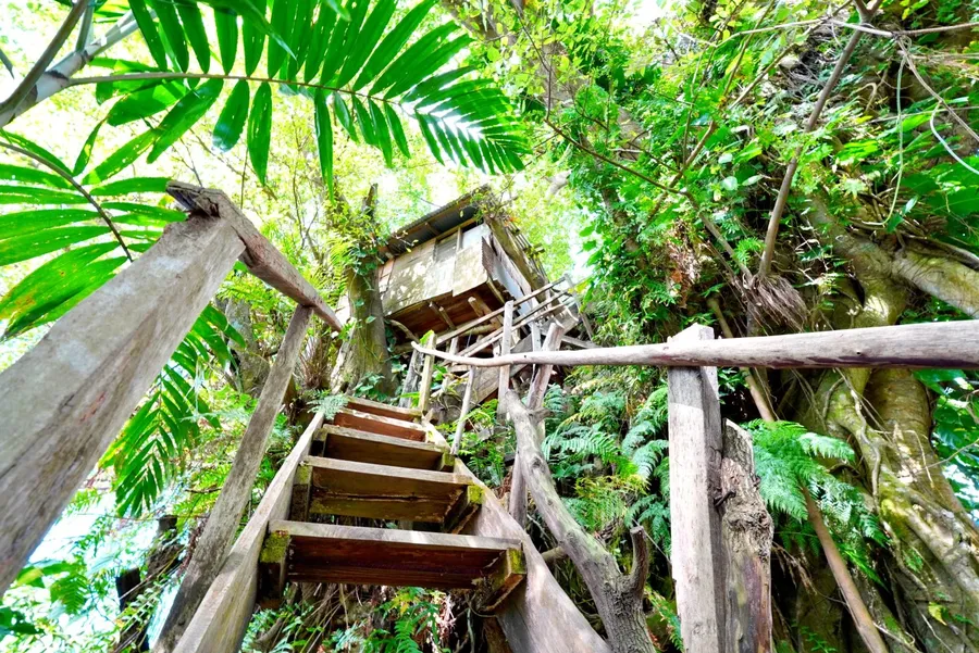 Castle Tree House and Yasur Bungalows (8) SEB CREDIT VanuatuPocketGuide.com