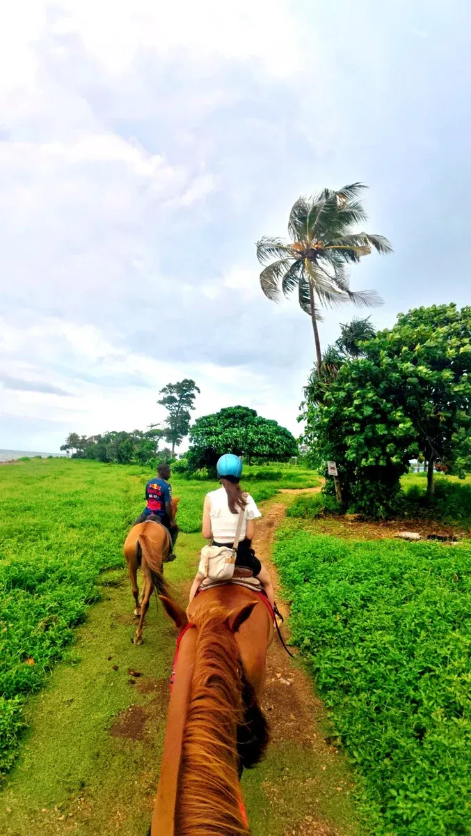Club Hibbique Horse Riding (5) SEB CREDIT VanuatuPocketGuide.com