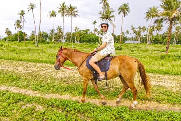 Club Hibbique Horse Riding 5 CREDIT VanuatuPocketGuide.com