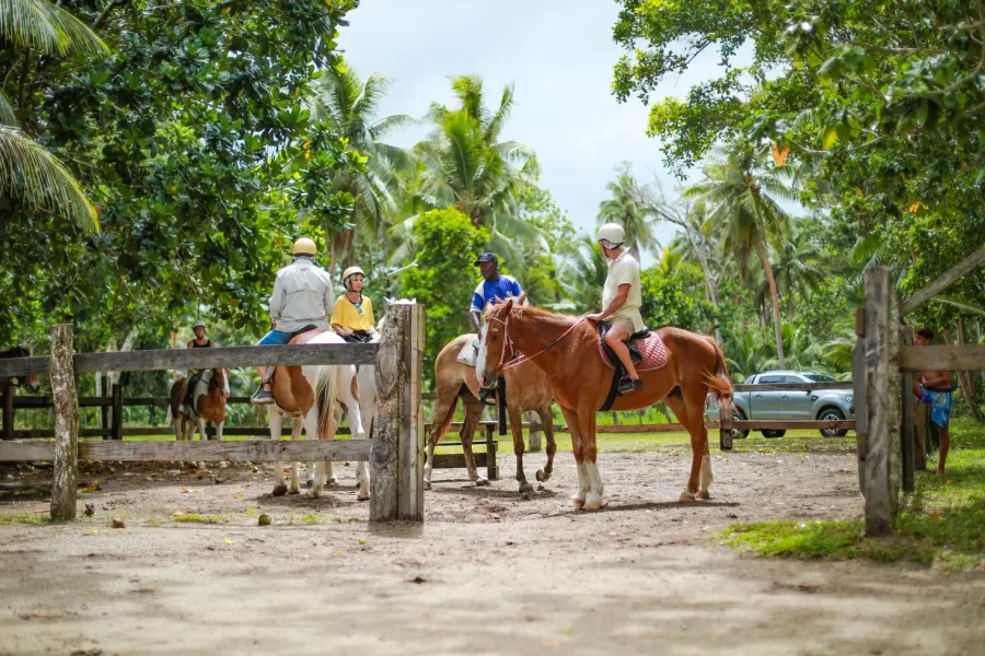 Club Hippique Adventure Park