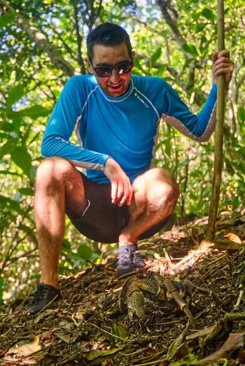 Coconut Crab Trail Walk Wildlife CREDIT AmericanSamoaPocketGuide.com