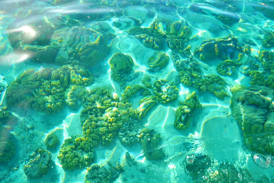 Coral Lagoon Generic Landscape SEB CREDIT WallisandFutunaPocketGuide.com