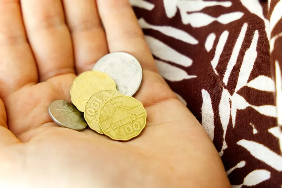 Currency Money Cash Coins Notes (5) CREDIT VanuatuPocketGuide.com