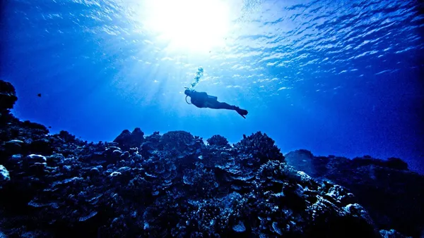 Dive Rarotonga Edna's Anchor Scuba (10) U CREDIT CookIslandsPocketGuide.com 1