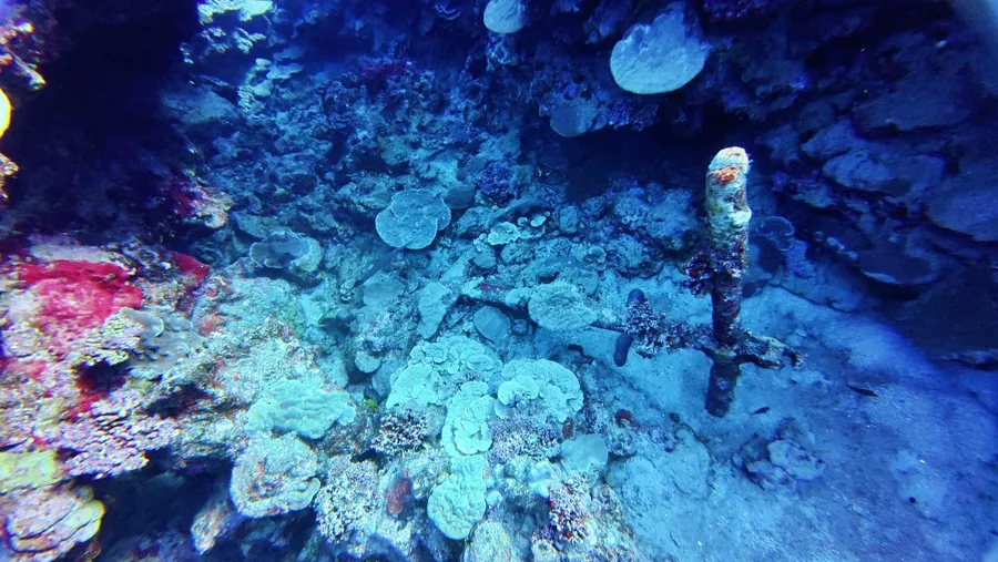 Dive Rarotonga Edna's Anchor Scuba (8) U CREDIT CookIslandsPocketGuide.com 1