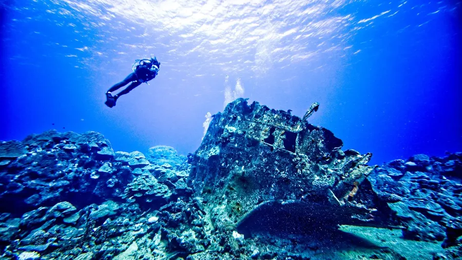 Dive Rarotonga Mataora Scuba Coral (4.5) CREDIT CookIslandsPocketGuide.com 1