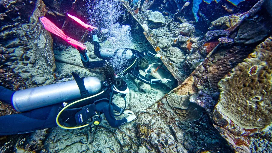 Dive Rarotonga Mataora Scuba Coral (7) U CREDIT CookIslandsPocketGuide.com 1