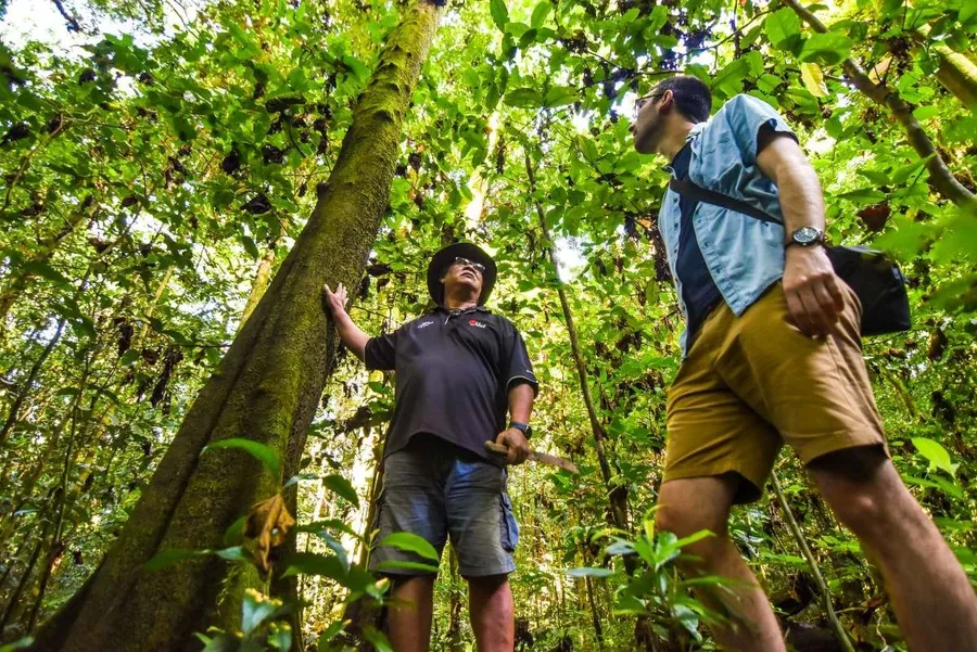 Ebony Rainforest Tours Jack Robin MUST CREDIT www.niuepocketguide.com