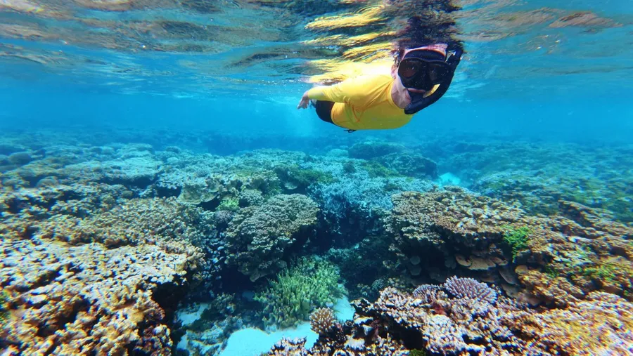 Eneko Snorkel Rain Couple (2) U CREDIT MarshallIslandsPocketGuide.com