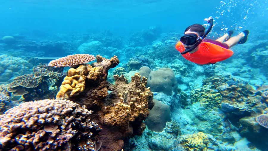 Eretoka Island Adventure Snorkel Lelepa (2) SEB CREDIT VanuatuPocketGuide.com