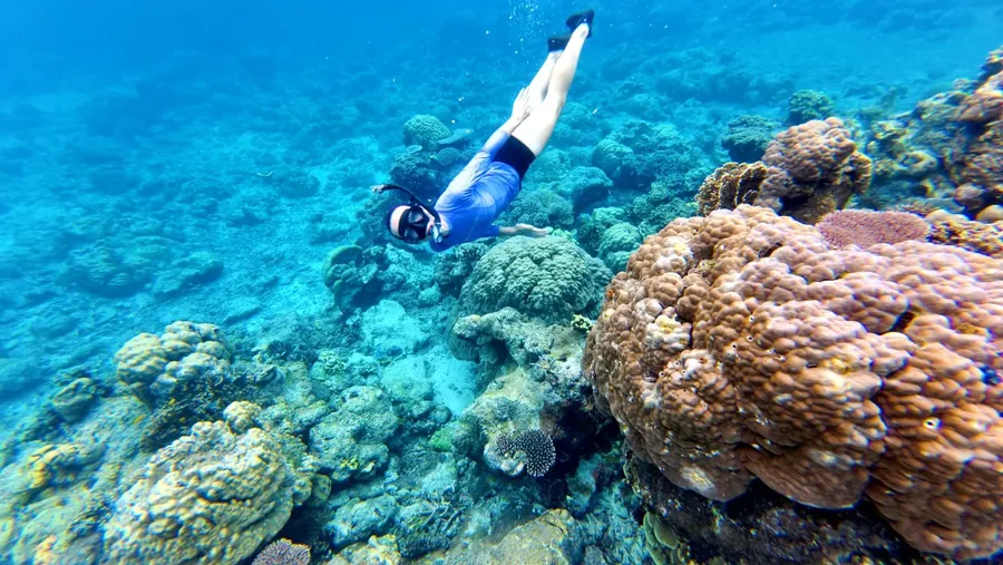 Eretoka Island Adventure Snorkel Lelepa (3) SEB CREDIT VanuatuPocketGuide.com