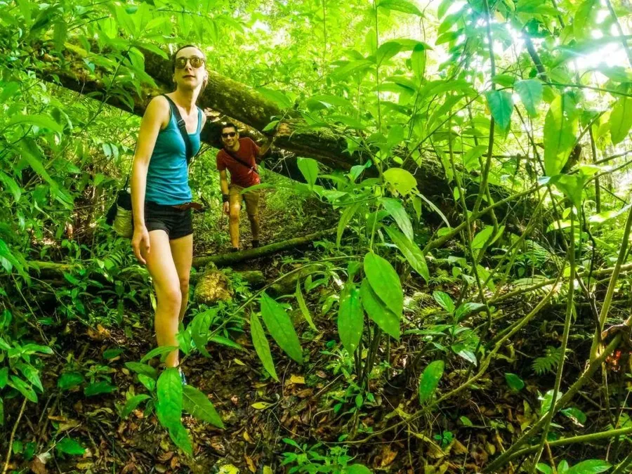Eua Forest Hiking Laura Robin Walk MUST CREDIT tongapocketguide.com