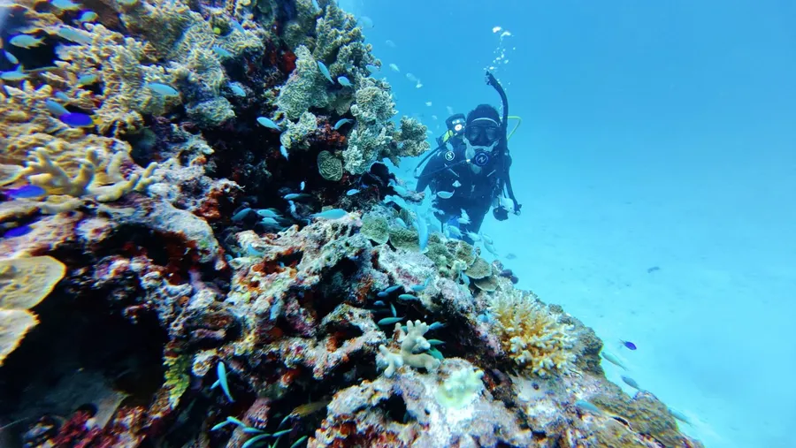 Evasion Bleue Scuba (1) U CREDIT WallisandFutunaPocketGuide.com