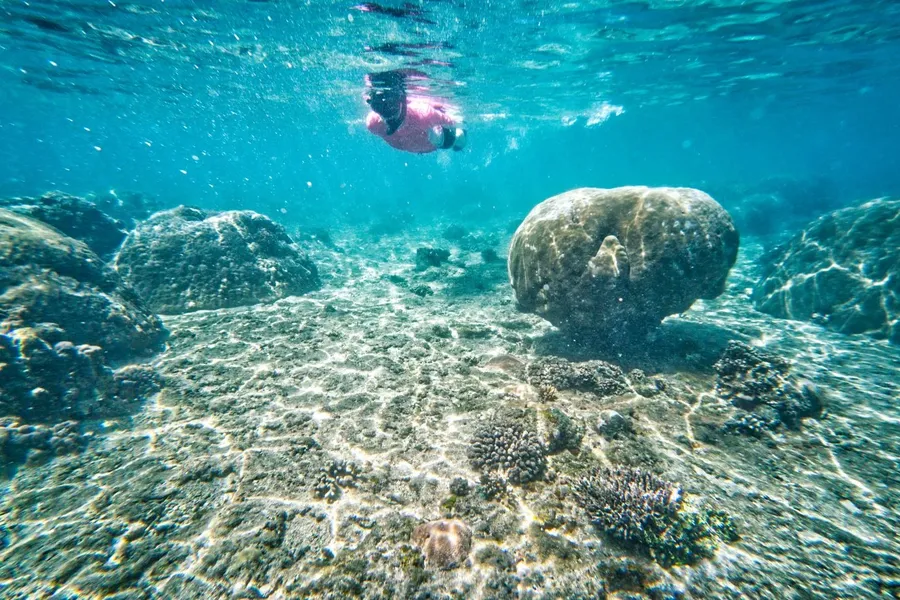 Fagasa Snorkel CREDIT AmericanSamoaPocketGuide.com