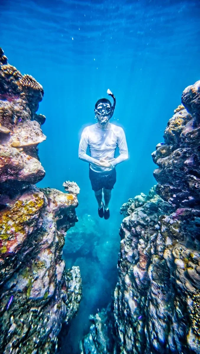 Fagasa Snorkel Robin CREDIT AmericanSamoaPocketGuide.com