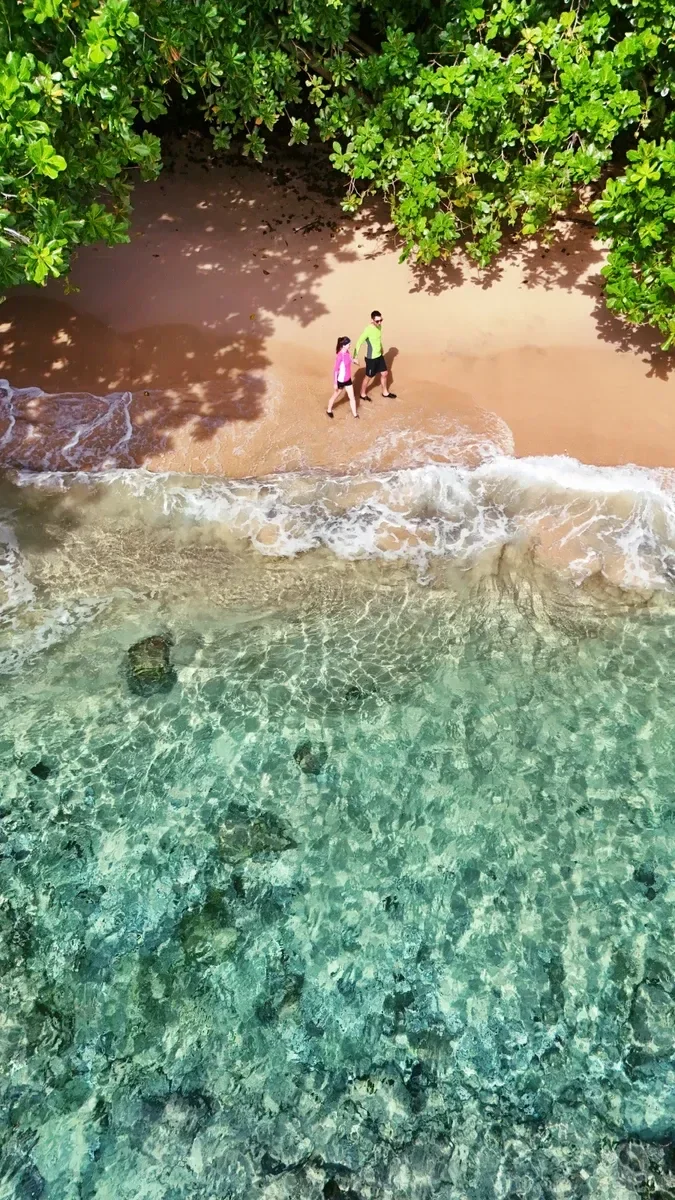 Fagatele Snorkel Coral Landscape Beach (1) CREDIT AmericanSamoaPocketGuide.com