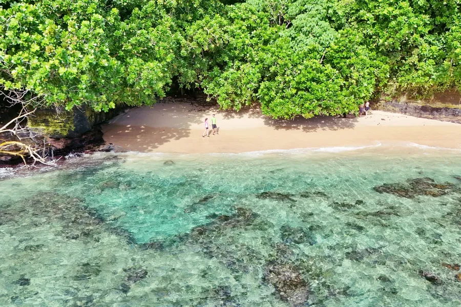Fagatele Snorkel Coral Landscape Beach (2) CREDIT AmericanSamoaPocketGuide.com