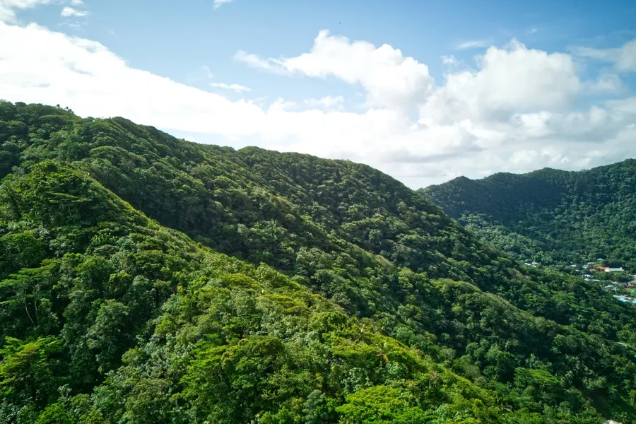 Fatifati Trail Mountain National Park CREDIT AmericanSamoaPocketGuide.com