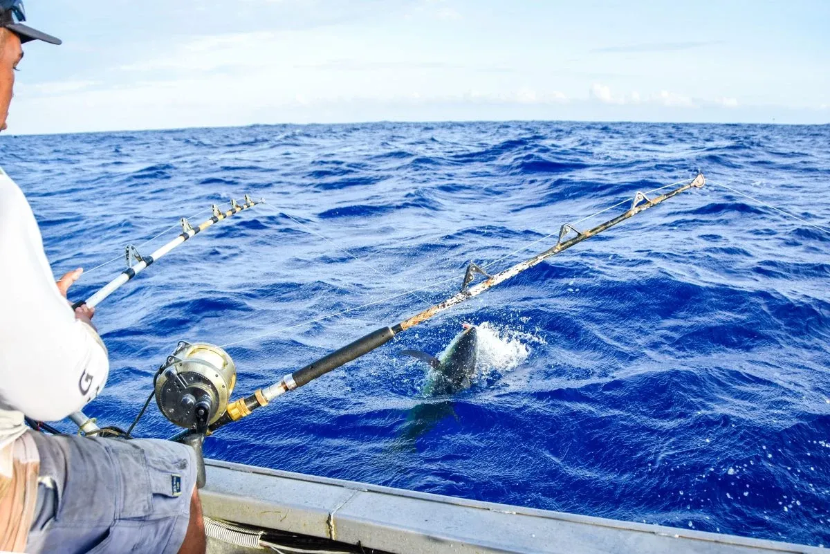 Fishing Tuna Fish Charter MUST CREDIT LINK SouthPacificPocketGuide.com