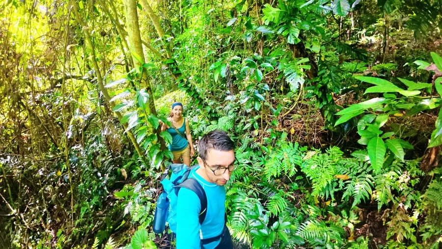 Forect Hike Walk SEB CREDIT VanuatuPocketGuide.com