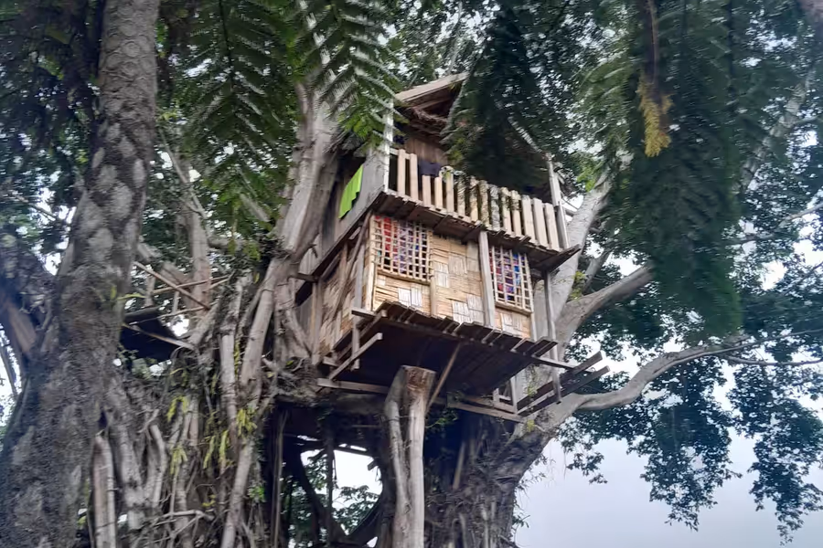 Glowing Mountain View Tree House