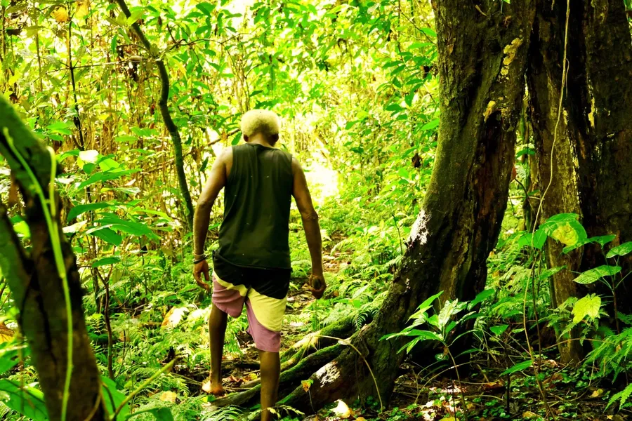 Guided Forest Hike SEB CREDIT VanuatuPocketGuide.com