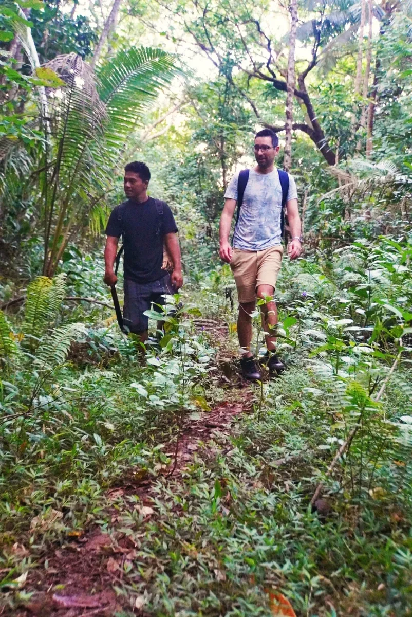 Guided Hike Forest Sitaua (3) CREDIT AmericanSamoaPocketGuide.com