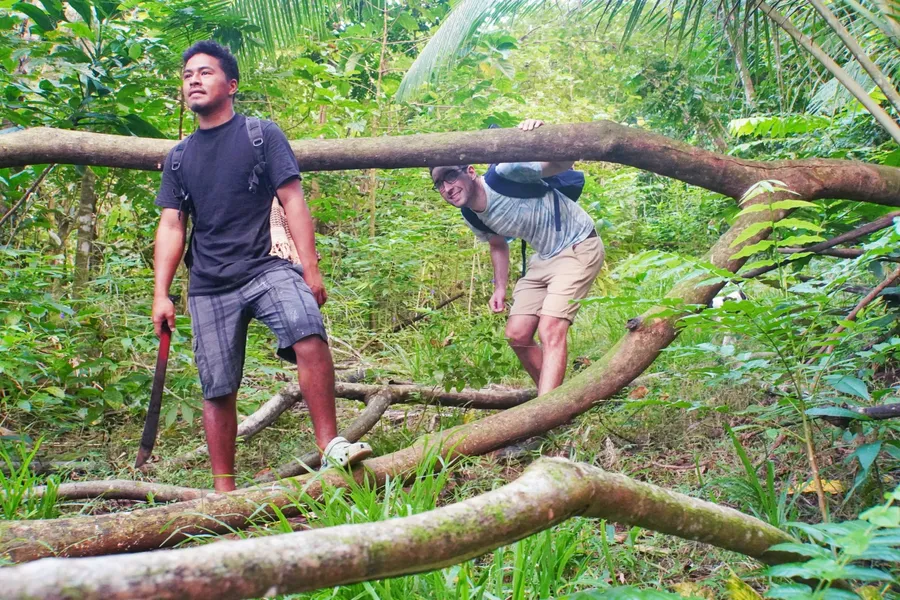 Guided Hike Sitaua Forest Tumu CREDIT AmericanSamoaPocketGuide.com