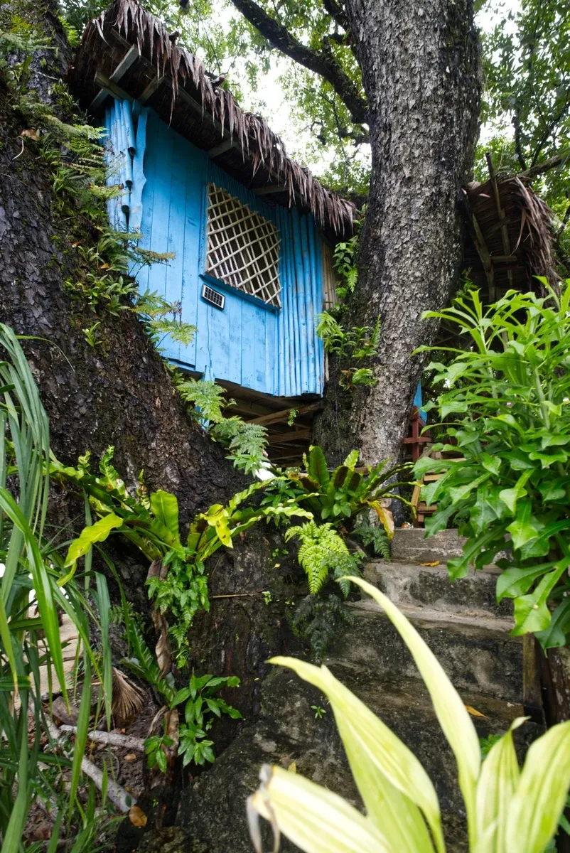 Hideaway Bungalows Treehouse CREDIT VanuatuPocketGuide.com