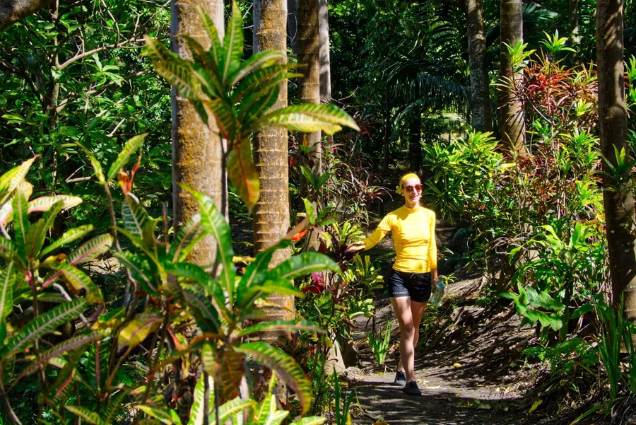 Hike Generic Yasur Trail CREDIT VanuatuPocketGuide.com