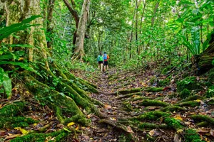 Hiking Walk Alofi (9) CREDIT WallisandFutunaPocketGuide.com
