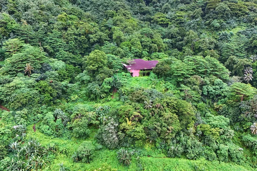 Historical Boy's School (3) CREDIT AmericanSamoaPocketGuide.com